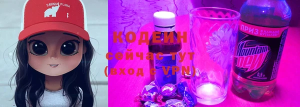 гашиш Богданович