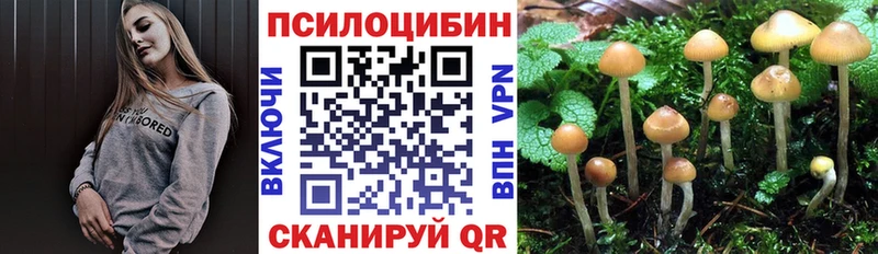 hydra ссылки Кондопога Псилоцибиновые грибы MAGIC MUSHROOMS